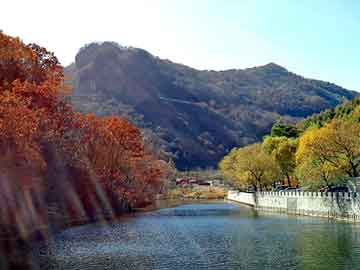 管家婆黑白马报图库，google右侧排名